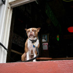 This little guy looks a little bit like a gargoyle watching over his bar in the French Quarter.